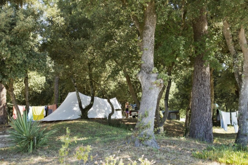 Piazzola tenda + Elettricità (10 A)