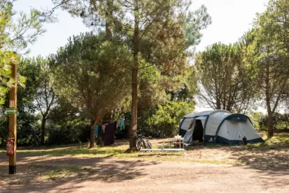 Piazzola Tenda + Elettricità (10 A)