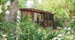 Cottage Cottage