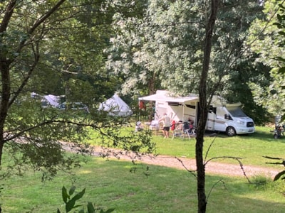 Pitch D tent or caravan 150m² (electricity not included) — 5