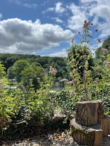 Foto #61 van Camping Goudal