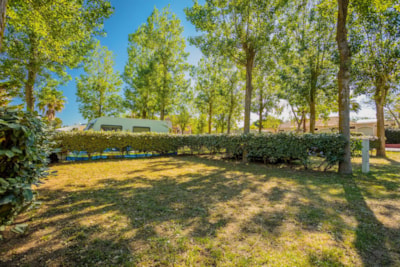 Pitch COMFORT + car + tent or caravan + electricity — 5