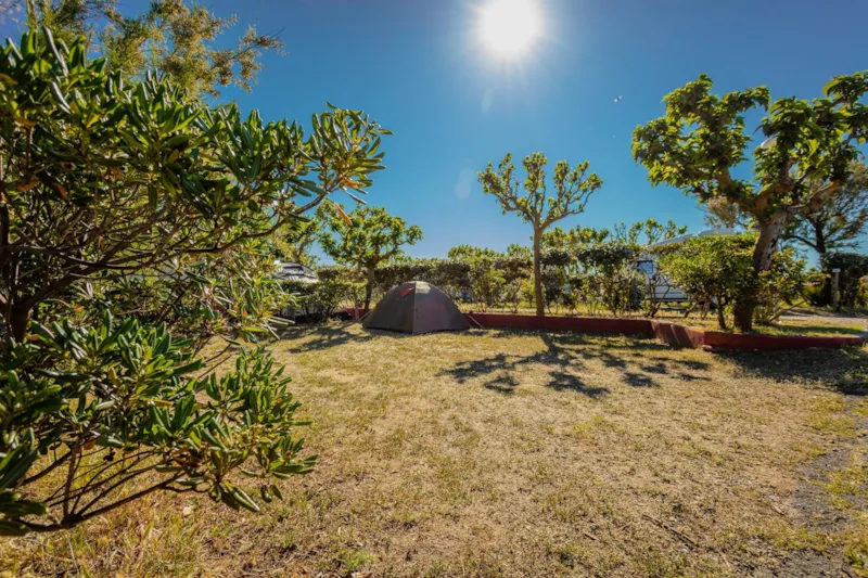 Emplacement Premium ≥ 95M² + 1 Voiture + Tente Ou Caravane + Électricité