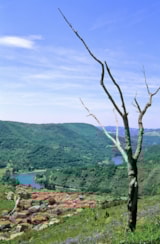 Foto #11 van Camping de la Base Nautique