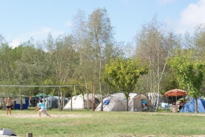 Pitch + tent + 1 car