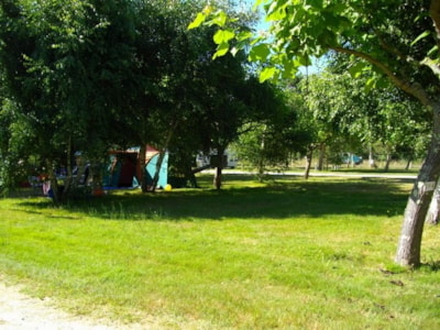 Pitch + tent + 1 car