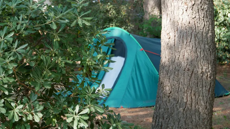 Emplacement Électrifié 6A