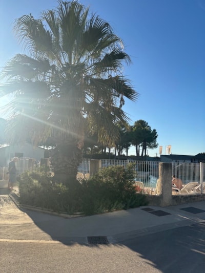 CAMPING BON PORT
