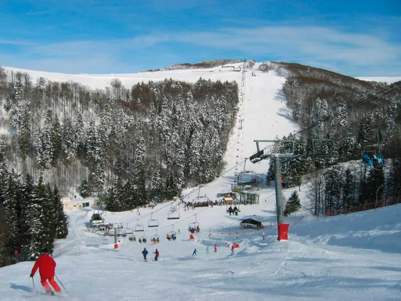 Camping de Belle Hutte