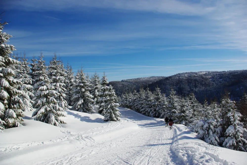 Camping de Belle Hutte 