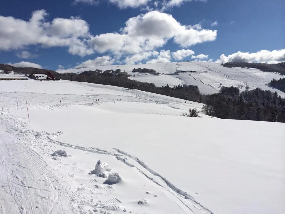 Camping de Belle Hutte 