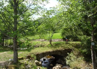  Camping de Belle Hutte La Bresse Lorraine France