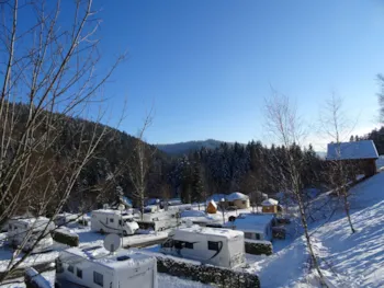 Stellplatz - Naturplatz 1/2 Pers. Inkl. - Strom Extra - Camping de Belle Hutte 