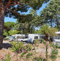 Camping Les Sablettes - image n°7 - Roulottes