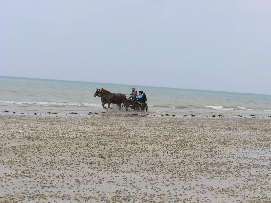 Camping Belle Etoile