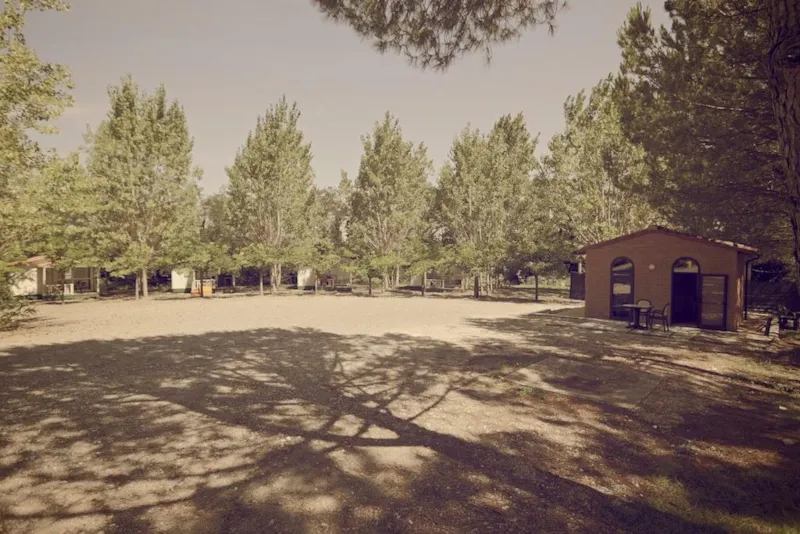 Il Pino - Une Pièce