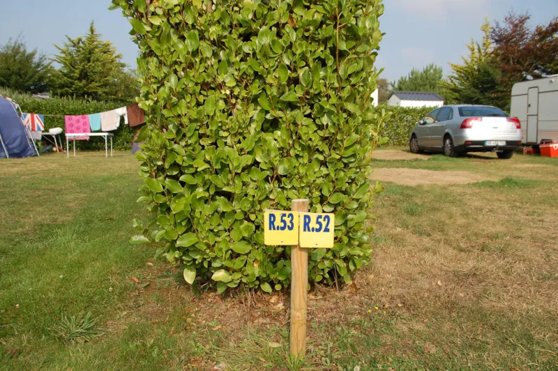 Grand Emplacement + Véhicule + Caravane Avec Auvent / Grande Tente / Camping-Car