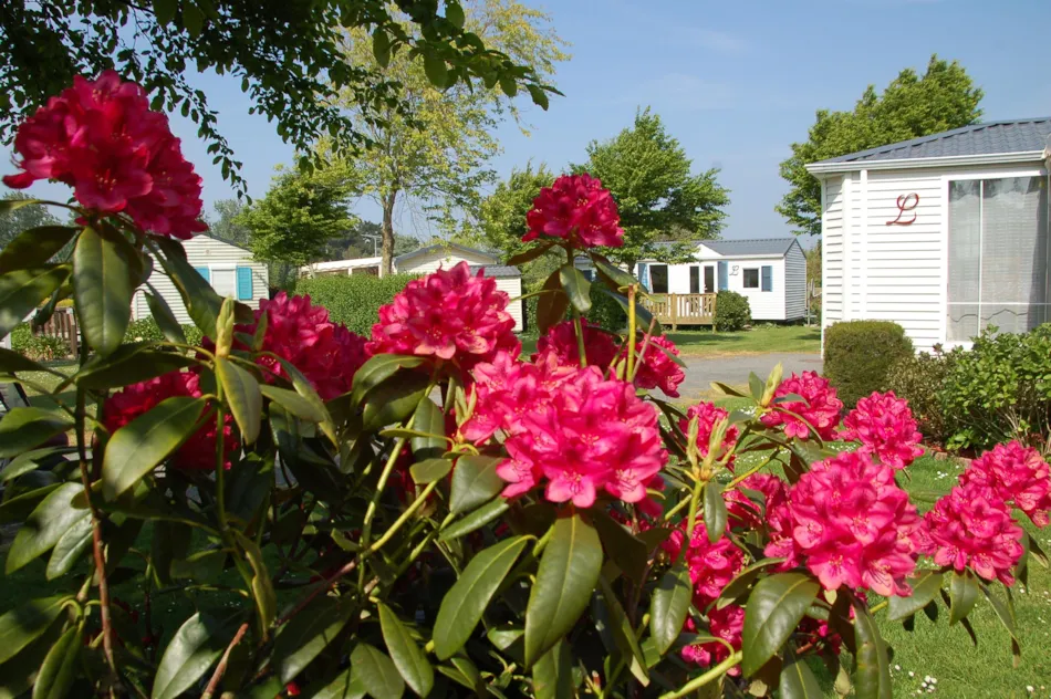 Camping Les Hauts de Port Blanc