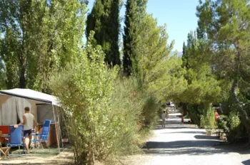 Stellplatz - Pauschale "Karte Acsi"  Standard, Stellplatz  Confort, 10A Strom, Zelt Oder Wohnwagen Oder Wohnmobil - Flower Camping Les Verguettes