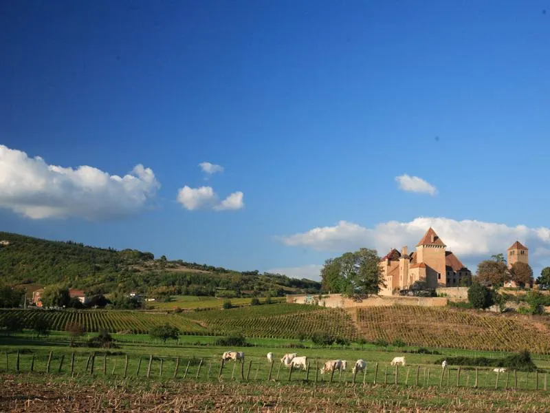 Castel Camping Château de L'Epervière