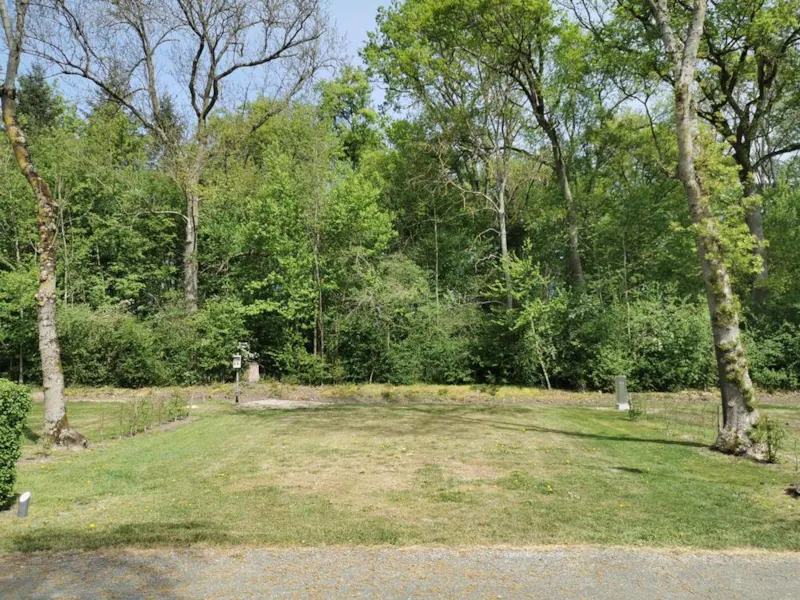 Emplacement Premium - Electricité 10A + Eau + Evacuation + Abri Jardin