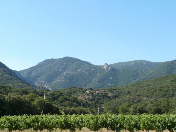 Camping Le Rancho - image n°1 - Camping Direct