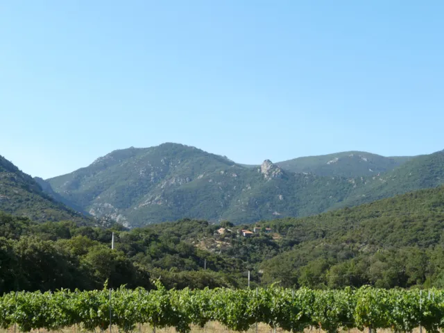 Camping Le Rancho - image n°1 - Camping Direct