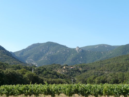 Foto #1 van Camping Le Rancho