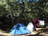 Foto #4 van Camping Le Rancho