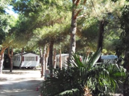Location - Mobil-Home La Massane 3 Pers Max Bebe Compris Clim Tv - Camping Le Rancho