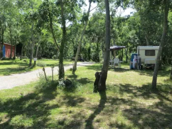 Stellplatz - Stellplatz (Zelt, Wohnwagen, Wohnmobil Oder Van) Maximal 6 Personen (Strom 10A Inklusive) - Camping Le Rancho