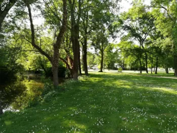 Stellplatz - Stellplatz - Camping Au Cœur de Vendôme