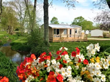 Mietunterkunft - Mobilheim 28M² - 2 Zimmer - Camping Au Cœur de Vendôme