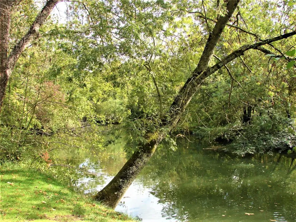 Camping Au Cœur de Vendôme