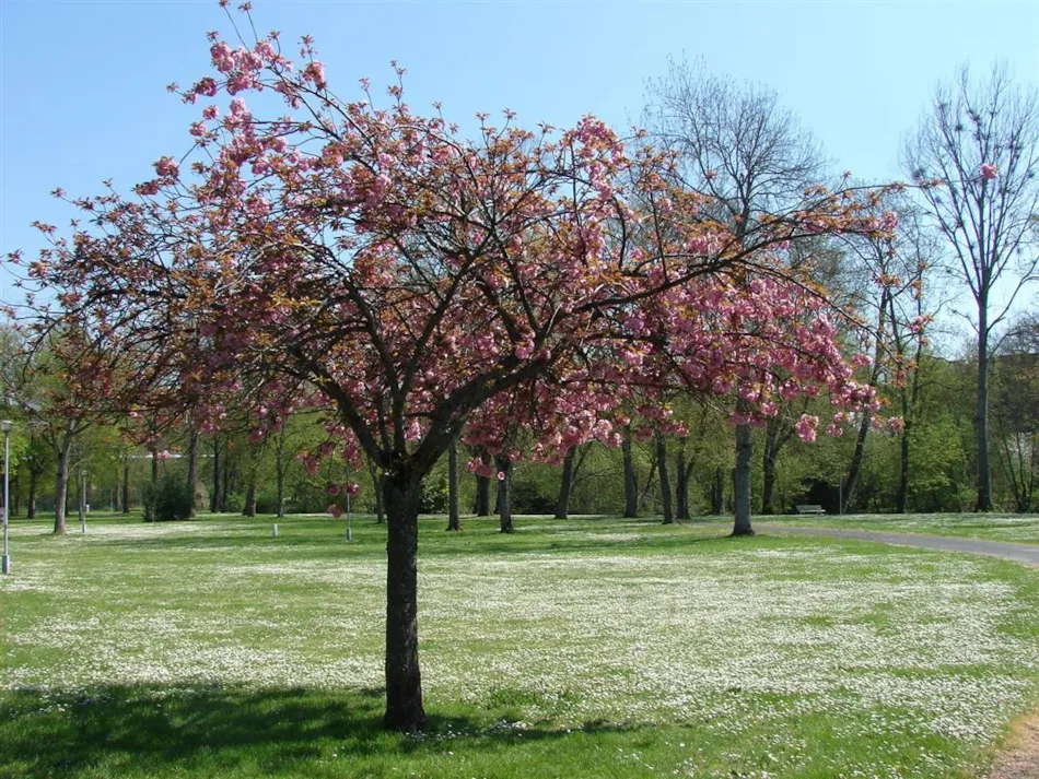 Camping Au Cœur de Vendôme