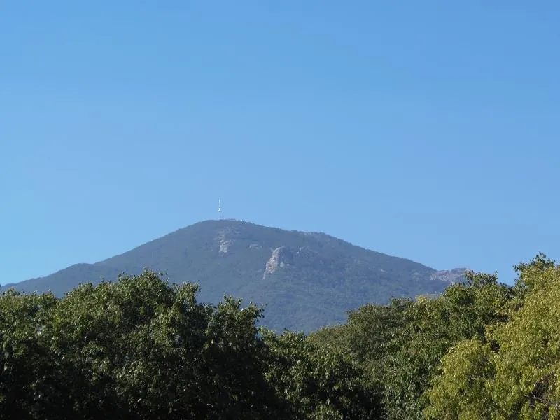 Camping Les Micocouliers