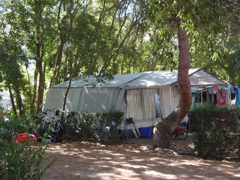 Emplacement - Forfait Standard  (Emplacement Caravane Ou Tente + 1 Voiture) - Camping Les Micocouliers