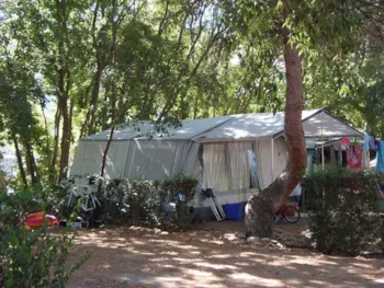 Stellplatz - Stellplatz Zelt/Wohnwagen + Auto - Camping Les Micocouliers