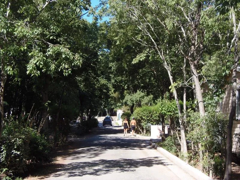 Camping Les Micocouliers