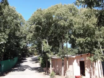 Camping Les Micocouliers - image n°2 - Camping Direct