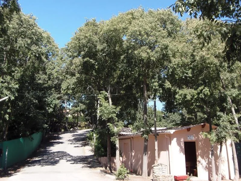 Camping Les Micocouliers