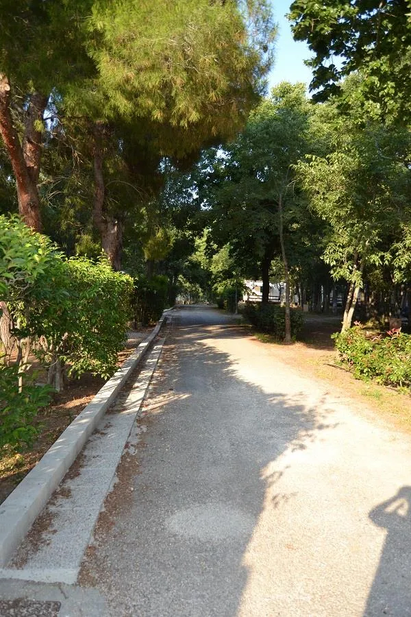 Camping Les Micocouliers