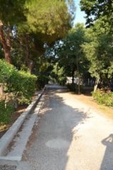 Foto #7 van Camping Les Micocouliers