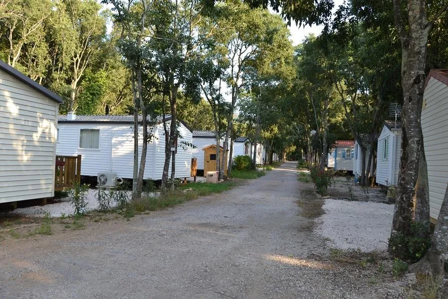 Camping Les Micocouliers - image n°4 - Camping Direct