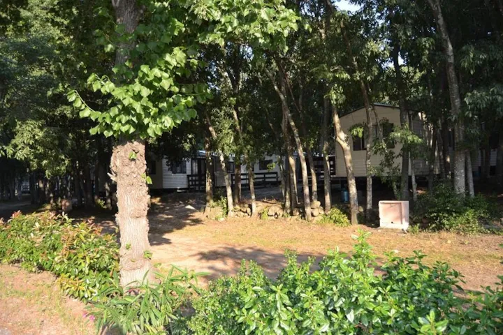 Camping Les Micocouliers - image n°1 - Camping Direct