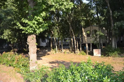 Camping Les Micocouliers