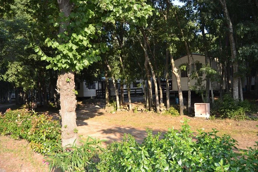 Camping Les Micocouliers