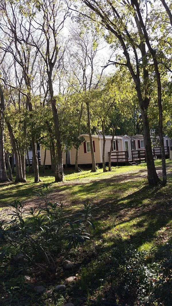 Camping Les Micocouliers