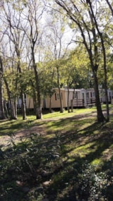Foto #5 van Camping Les Micocouliers