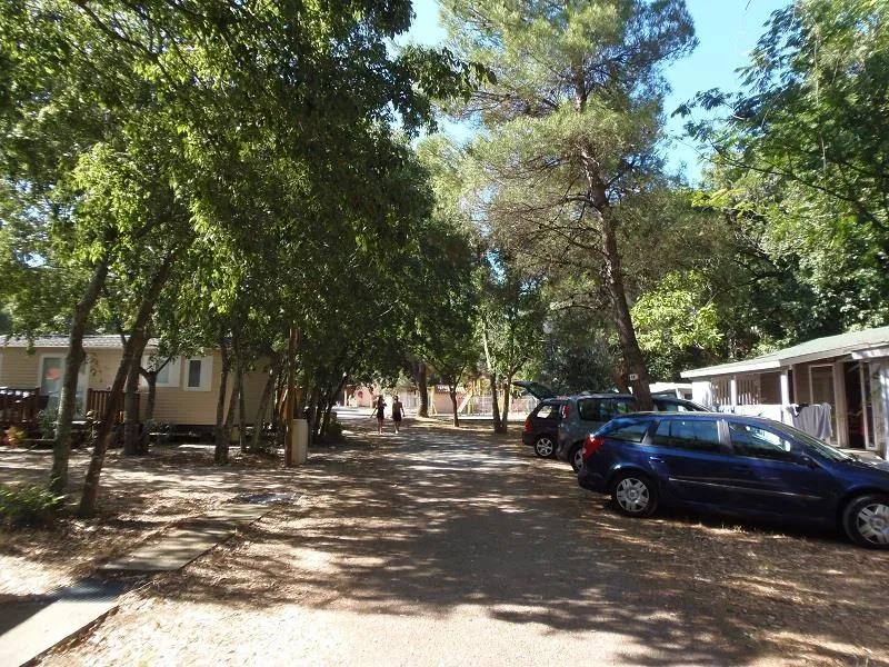 Camping Les Micocouliers